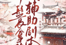 丫鬟拿稳辅助剧本推荐完结小说丫鬟拿稳辅助剧本(傅初霁)免费小说全本-推文官