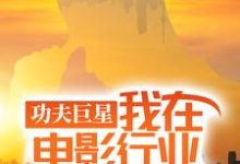 功夫巨星:我在电影行业做武替(唐龙)全章小说阅读-推文官