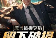 谎言被拆穿后，留下破损的婚姻张齐完结小说推荐谎言被拆穿后，留下破损的婚姻全本书籍阅读-推文官