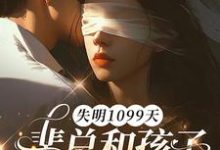 失明1099天，裴总和孩子我都不要了完整版小说失明1099天，裴总和孩子我都不要了(谢南枝)全章小说阅读-推文官