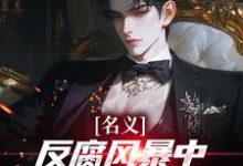 名义：反腐风暴中我帮叔叔卡bug（祁明轩）全章小说阅读-推文官