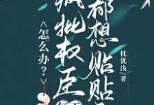怎么办？疯批权臣每天都想贴贴我顾轻舟完结小说推荐怎么办？疯批权臣每天都想贴贴我全本书籍阅读-推文官