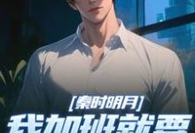 秦时明月：我加班就要被扣经验值完整版小说，秦时明月：我加班就要被扣经验值赵子珏全章小说阅读-推文官