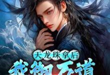 天龙珠拿后，我御万道吞四海完整版小说，天龙珠拿后，我御万道吞四海江尘全章小说阅读-推文官