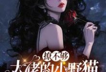 (全文)撩不够,大佬的小野猫又欲又嚣张热门小说排行榜,撩不够,大佬的小野猫又欲又嚣张陆晨矅全章小说阅读-推文官