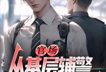 (全文)官场:从基层辅警开始崛起王初一全本免费在线阅读-推文官
