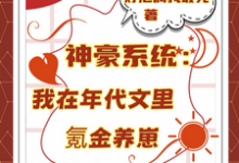 神豪系统：我在年代文里氪金养崽热门小说排行榜神豪系统：我在年代文里氪金养崽叶晓琳免费小说全本-推文官