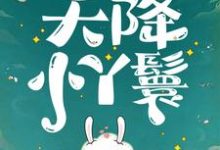 天降小丫鬟夏夏完结小说推荐,天降小丫鬟全章小说阅读-推文官