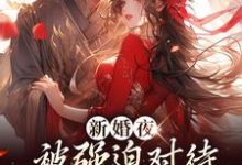 新婚夜被强迫对待，这叫不近女色？推荐完结小说，新婚夜被强迫对待，这叫不近女色？谢临珩虞听晚免费小说全本-推文官