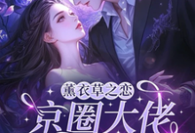 薰衣草之恋,京圈大佬暗恋我热门小说排行榜薰衣草之恋,京圈大佬暗恋我宁清灵免费小说全本-推文官