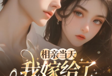 (全文)相亲当天,我嫁给了京都首富(蓝冉)全本免费在线阅读-推文官