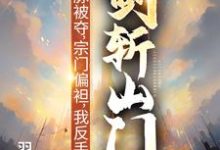 (全文)灵脉被夺,宗门偏袒,我反手剑斩山门!完结小说推荐陈帆全本书籍阅读-推文官