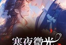 (全文)寒夜微光：她的逆袭人生袁小苔最新完结小说寒夜微光：她的逆袭人生免费小说全本-推文官