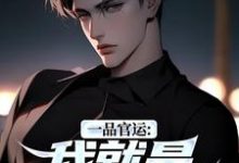 一品官运：我就是无冕之王（陈飞宇）全章小说阅读-推文官