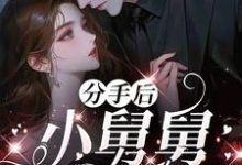 (全文)分手后，小舅舅夜夜洗床单免费小说全本，沈锦悦试读更新章节-推文官