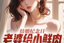 结婚纪念日，老婆给小鲜肉打榜应援热门小说排行榜结婚纪念日，老婆给小鲜肉打榜应援叶一帆免费小说全本-推文官