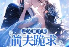 去父留子后，前夫跪求伺候我月子！热门小说排行榜去父留子后，前夫跪求伺候我月子！林亦棠免费小说全本-推文官