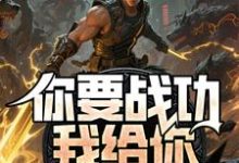你要战功我给你，妖兽入侵你哭啥完整版小说，你要战功我给你，妖兽入侵你哭啥叶天全章小说阅读-推文官