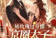 娇玫瑰过分撩,京圈太子底线全抛热门小说排行榜娇玫瑰过分撩,京圈太子底线全抛邓恩雅免费小说全本-推文官