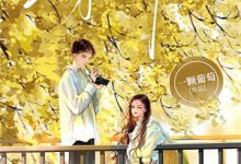《穿越大宋,打猎养活美娇妻》小说大结局免费试读 林耀李耀王娇小说-推文官