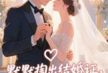 默默掏出结婚证,我的老公好奶宋禧热门小说排行榜默默掏出结婚证,我的老公好奶免费小说-推文官