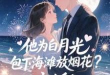 他为白月光包下海滩放烟花?离婚!(霍宴州云初)小说推荐他为白月光包下海滩放烟花?离婚!全章小说阅读-推文官