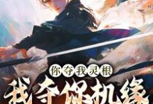 你夺我灵根，我夺你机缘也合理吧？（林水瑶）全章小说阅读-推文官