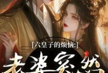 (全文)六皇子的烦恼:老婆突然不瞎了(谢成君)全本书籍阅读六皇子的烦恼:老婆突然不瞎了免费小说全本-推文官