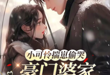 (全文)小可怜揣崽偷哭，豪门婆家来团宠苏念念全本免费在线阅读-推文官