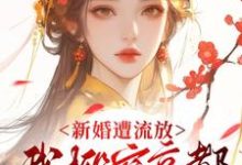 (全文)新婚遭流放，我搬空京都去逃荒免费小说全本，桑晚柠试读更新章节-推文官