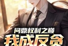 (全文)问鼎权利之巅，我成反贪第一人（方晓倩）免费小说问鼎权利之巅，我成反贪第一人试读更新章节-推文官
