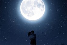 陆拙言江姝月小说在线章节免费阅读（她把爱情困成牢无弹窗无删减）-推文官