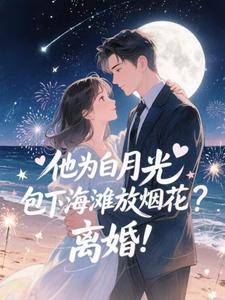 他为白月光包下海滩放烟花？离婚！（霍宴州云初）全章小说阅读