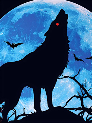 最怕的是长情最新章节，最怕的是长情免费阅读