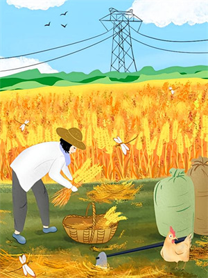 谢晚凝林玄锦小说《剥骨抽筋？重生大师姐卷成修仙界第一》在线阅读