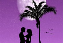 穿书炮灰：男主提离婚？行，我走小说最新章节在哪里可以读到？-推文官