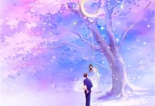 寻找能够免费阅读风莫无言花易落小说的平台-推文官