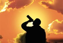 尘尽光生照山河章节免费在线阅读,陆擎渊林疏月完结版-推文官